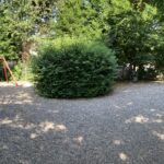 IMG_0294
