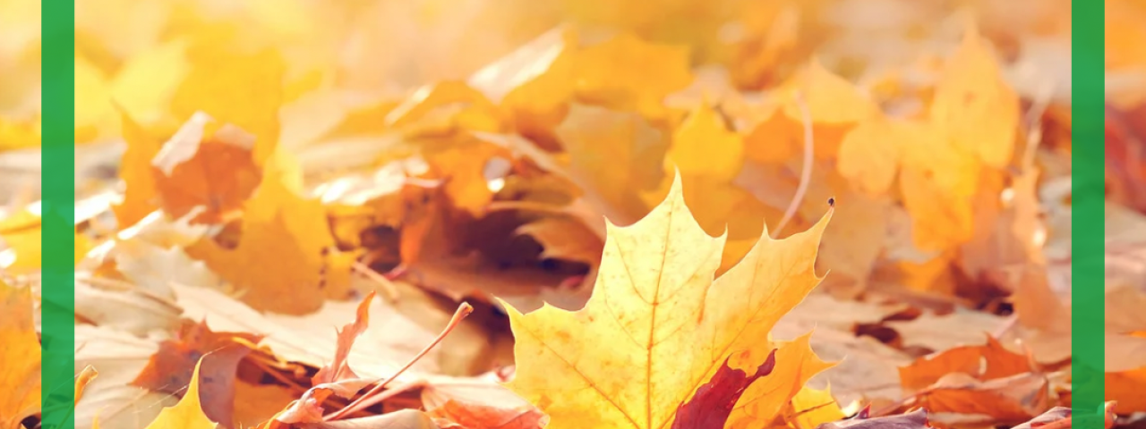 Herbstlaubentsorgung 2.jpg