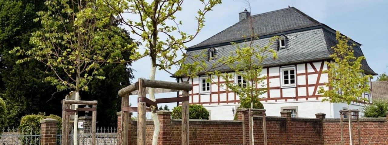 Jungbaum