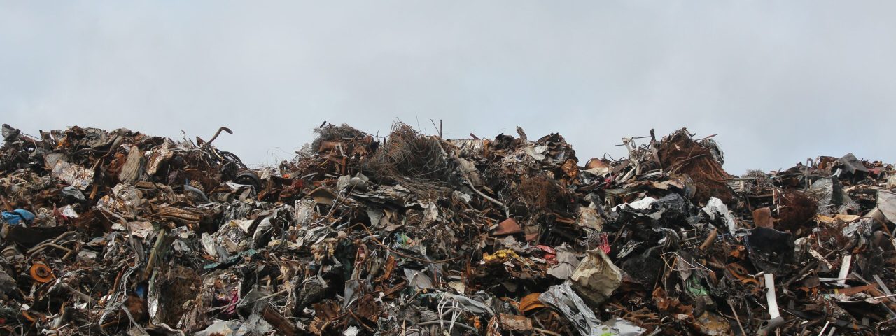 Klimaschutzbild_August