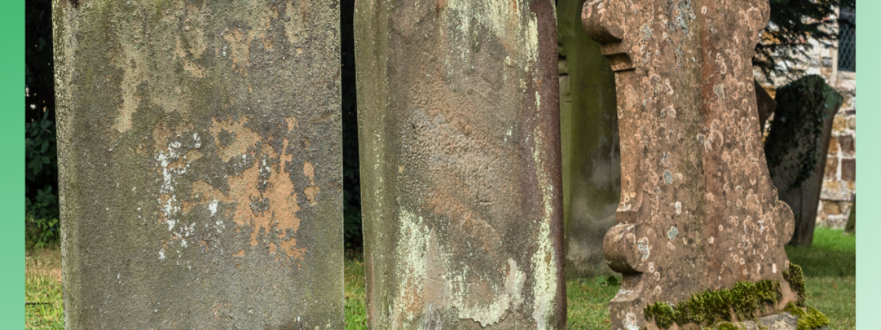 Standsicherheitsprüfung