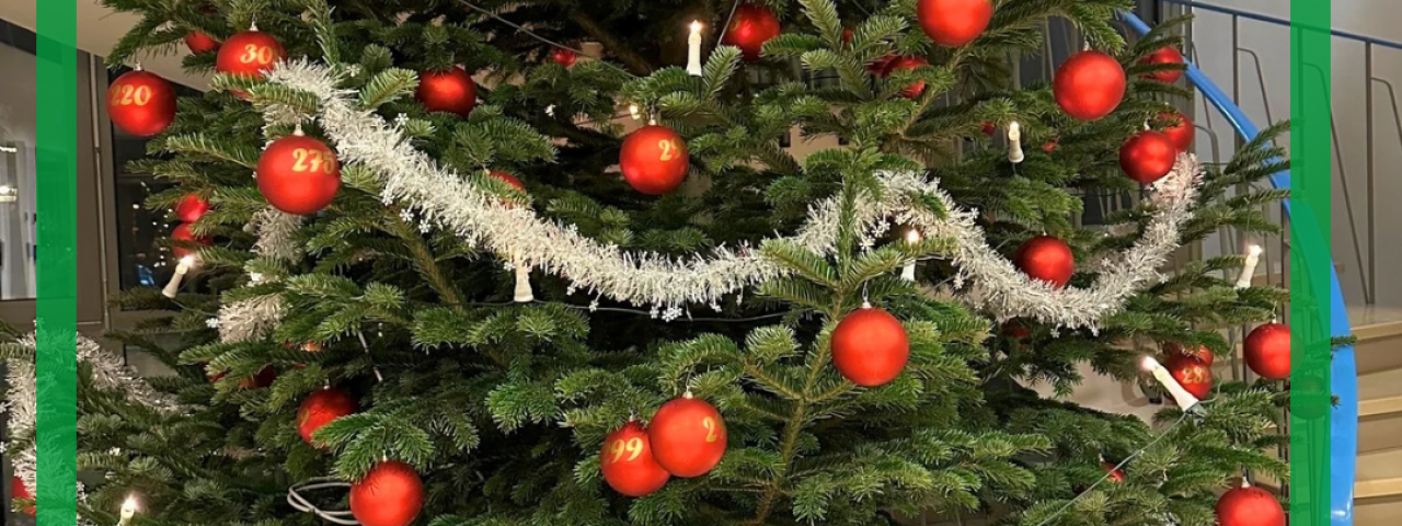 Wunschbaum