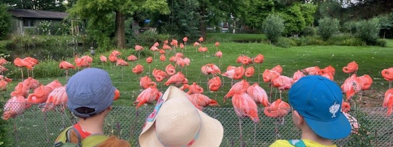 Zoo Wippinger Weg_3