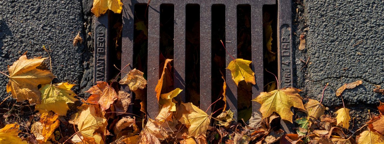 Rodenkirchen,,Germany,-,October,24,,2021:,Autumn,Leaves,Lying,On